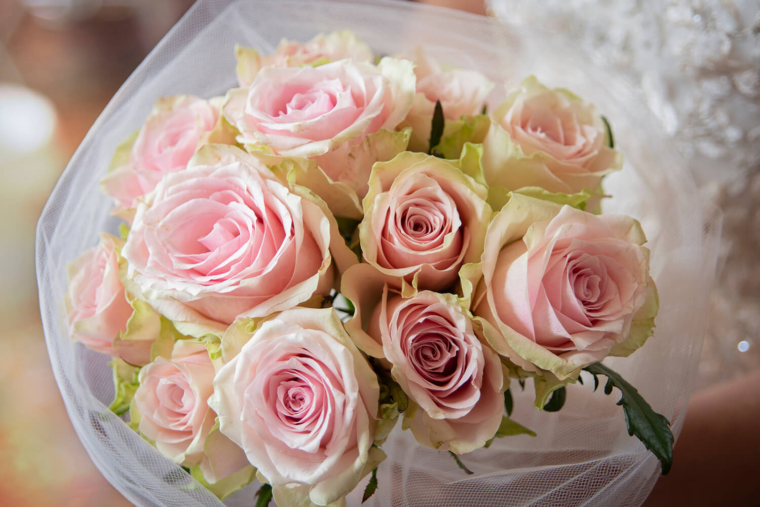 Close-up van een boeket roze rozen, perfect voor contact.