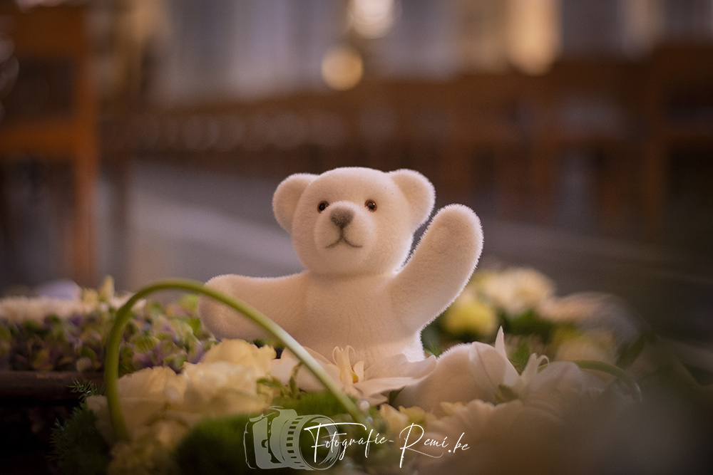 Witte teddybeer in een rouwbloemstuk, symbool van medeleven.